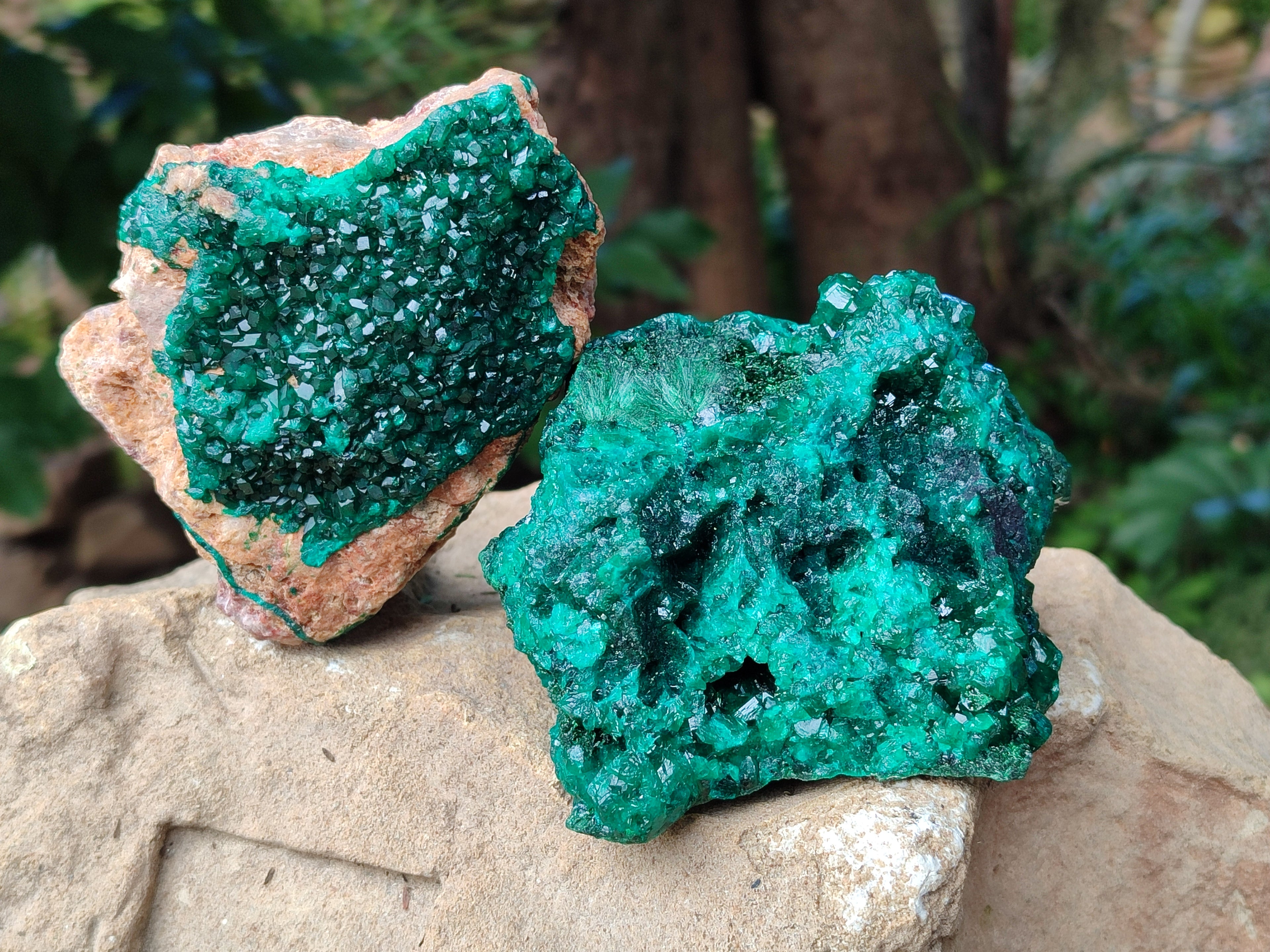 Natural Dioptase On Dolomite with Malachite Specimens x 2 From Likasi, Congo - Toprock Gemstones and Minerals 