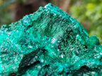 Natural Dioptase On Dolomite with Malachite Specimens x 2 From Likasi, Congo - Toprock Gemstones and Minerals 