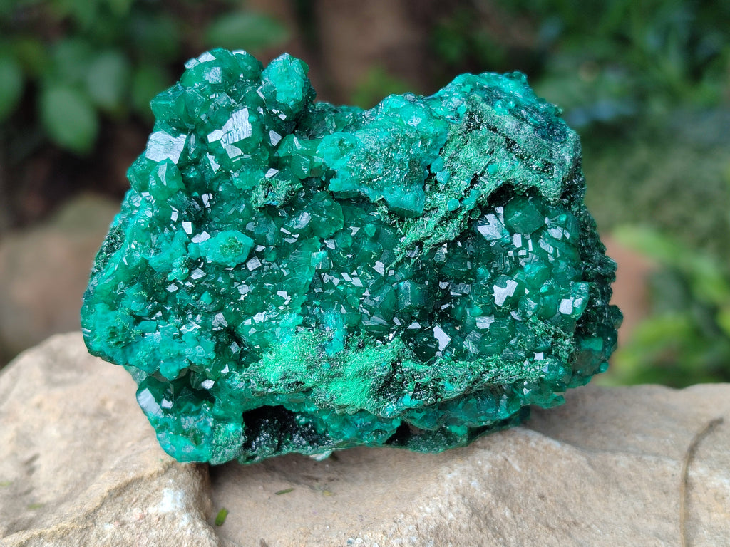 Natural Dioptase On Dolomite with Malachite Specimens x 2 From Likasi, Congo - Toprock Gemstones and Minerals 