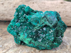 Natural Dioptase On Dolomite with Malachite Specimens x 2 From Likasi, Congo - Toprock Gemstones and Minerals 
