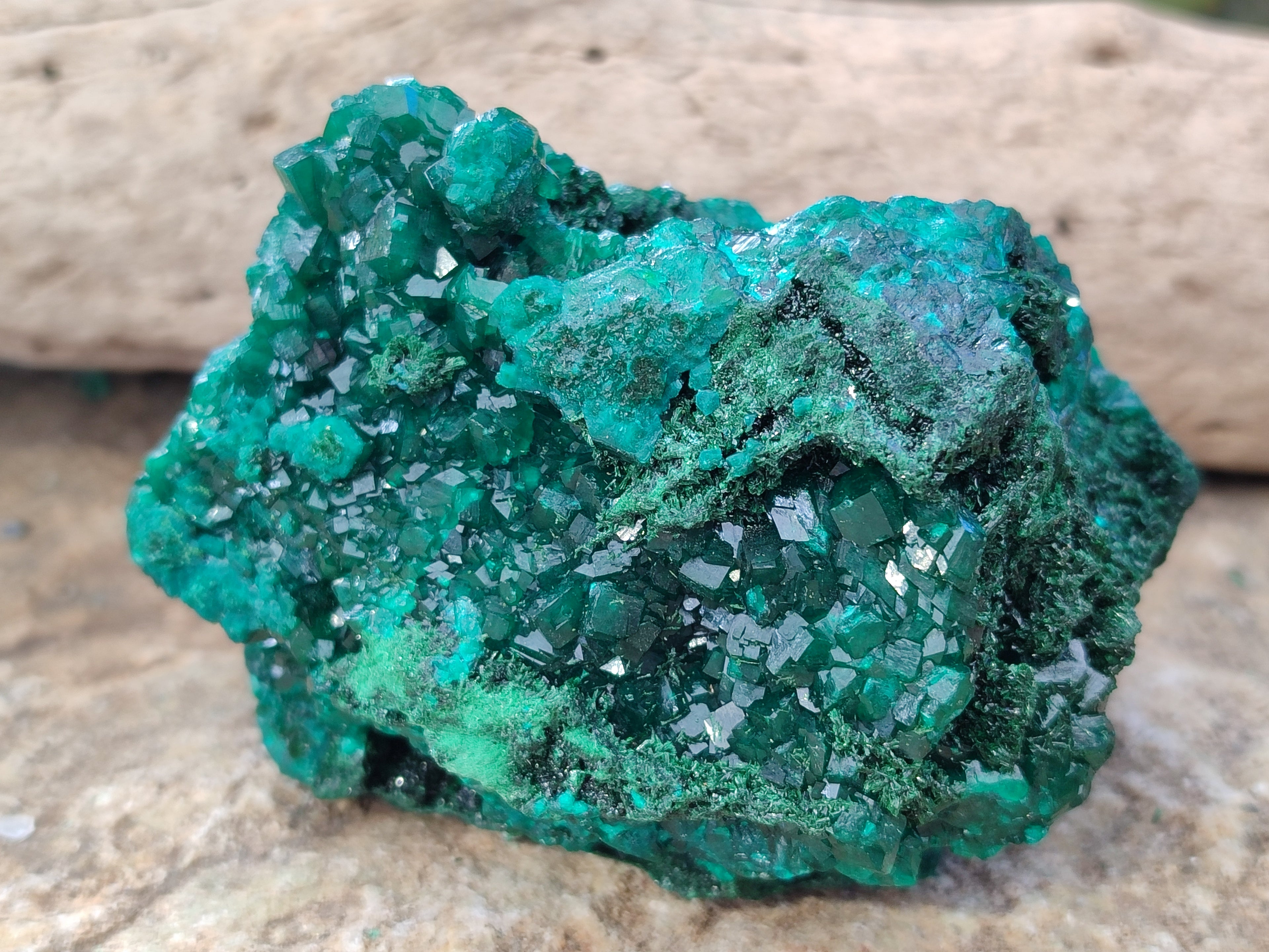 Natural Dioptase On Dolomite with Malachite Specimens x 2 From Likasi, Congo - Toprock Gemstones and Minerals 