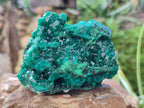 Natural Dioptase On Dolomite with Malachite Specimens x 2 From Likasi, Congo - Toprock Gemstones and Minerals 