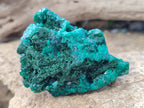 Natural Dioptase On Dolomite with Malachite Specimens x 2 From Likasi, Congo - Toprock Gemstones and Minerals 