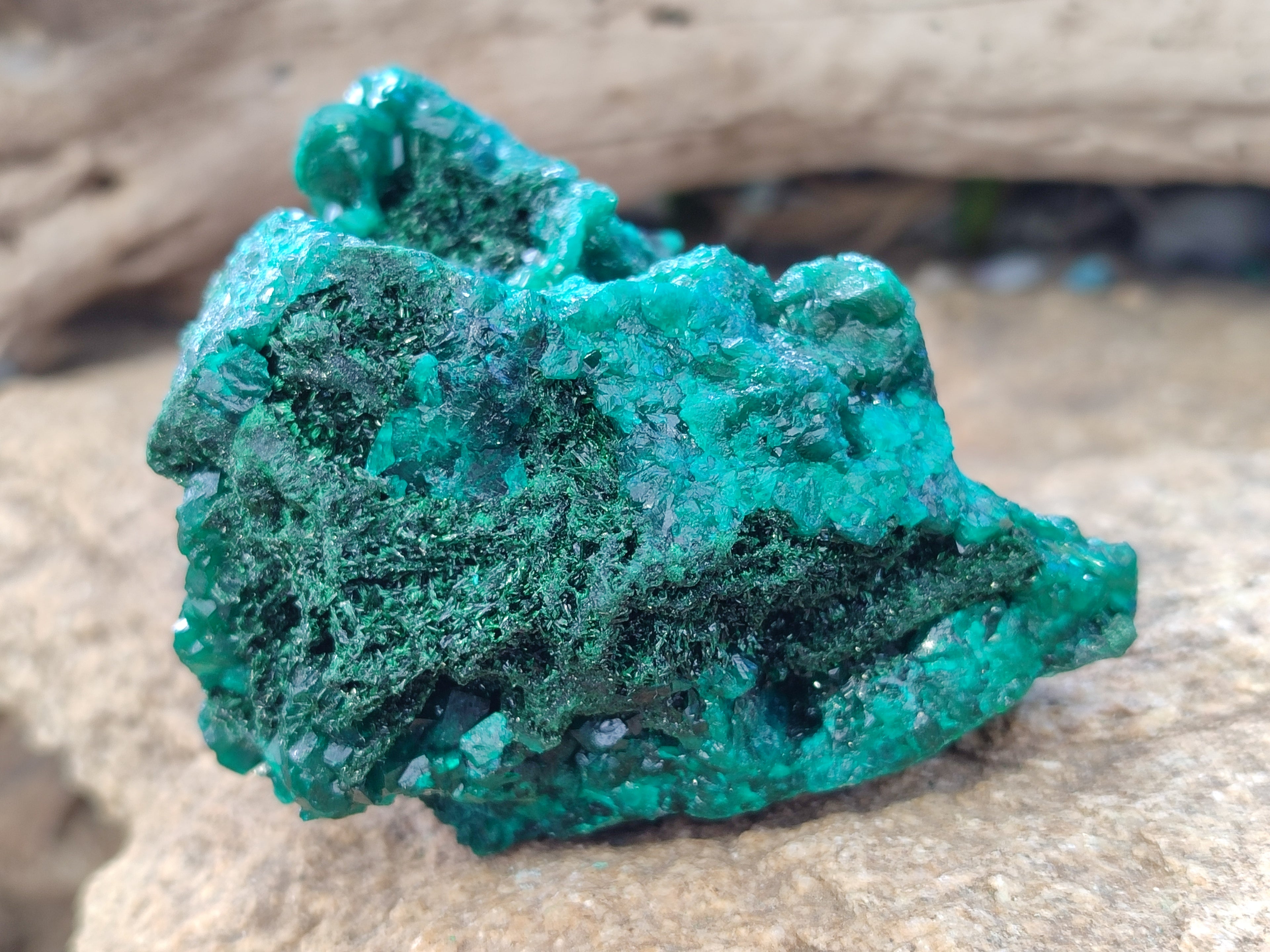 Natural Dioptase On Dolomite with Malachite Specimens x 2 From Likasi, Congo - Toprock Gemstones and Minerals 