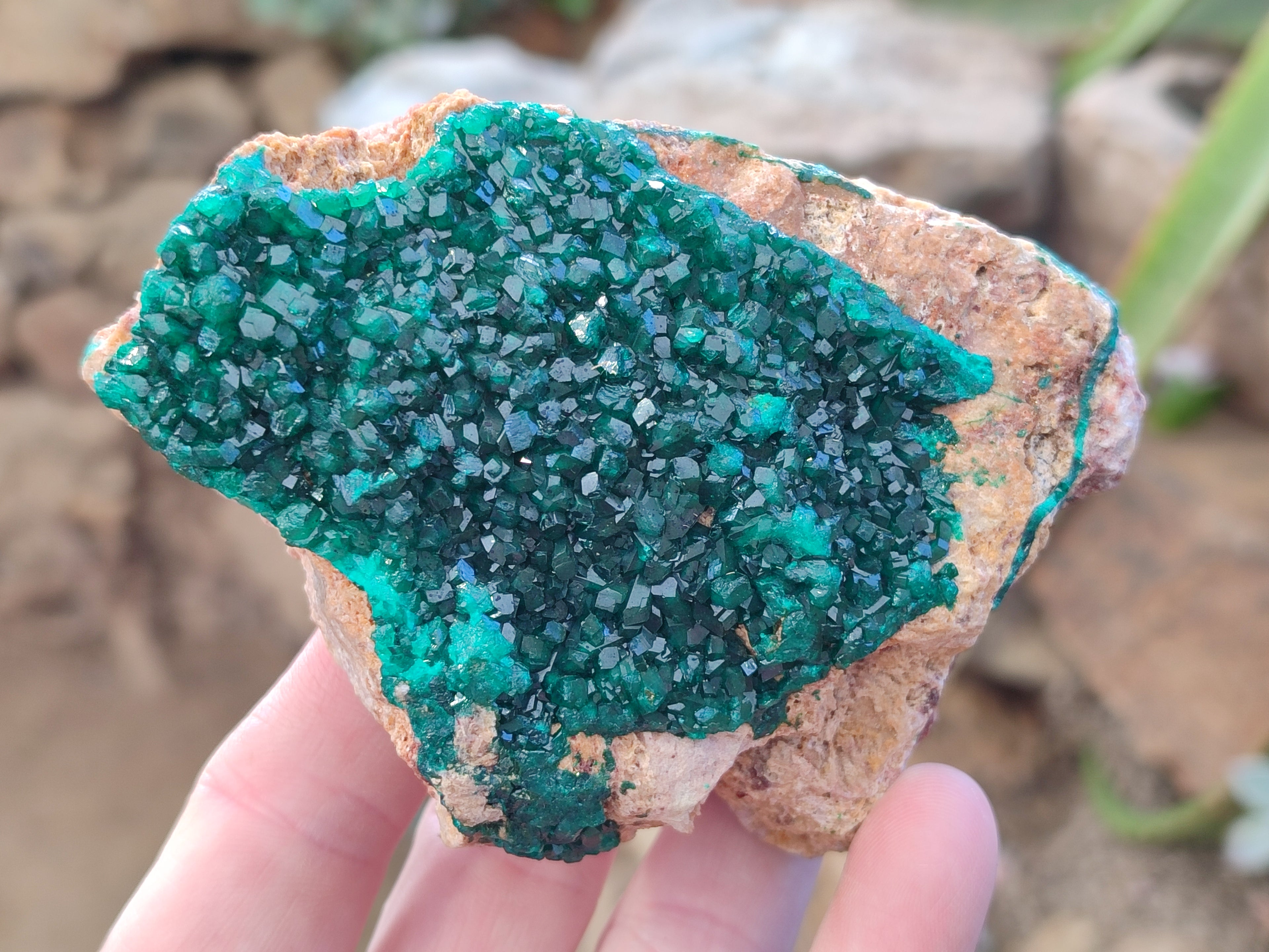 Natural Dioptase On Dolomite with Malachite Specimens x 2 From Likasi, Congo - Toprock Gemstones and Minerals 