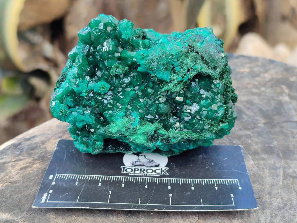Natural Dioptase On Dolomite with Malachite Specimens x 2 From Likasi, Congo - Toprock Gemstones and Minerals 