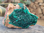 Natural Dioptase On Dolomite with Malachite Specimens x 2 From Likasi, Congo - Toprock Gemstones and Minerals 