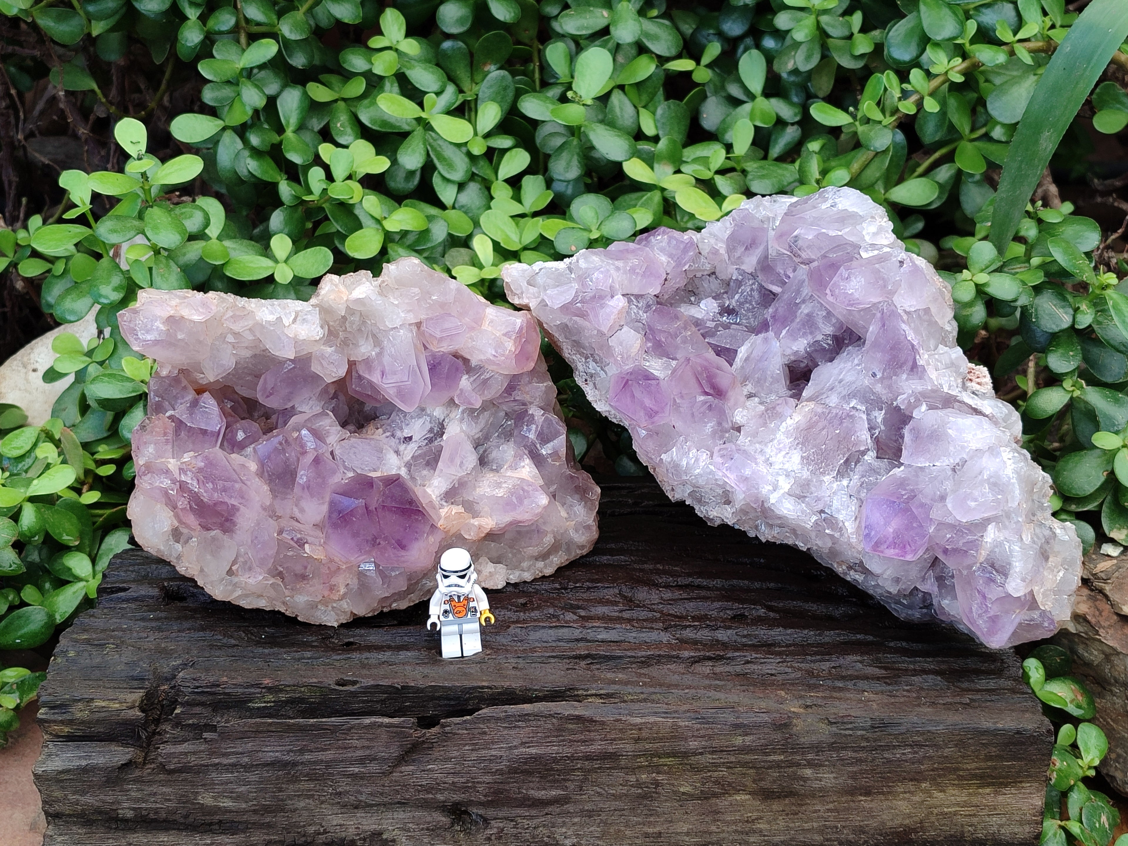 Natural Jacaranda Amethyst Quartz Cluster x 2 From Mumbwa, Zambia - Toprock Gemstones and Minerals 