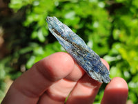 Natural Kyanite Crystals x 1.67 Kg Lot From Karoi, Zimbabwe - Toprock Gemstones and Minerals 