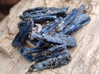 Natural Kyanite Crystals x 1.67 Kg Lot From Karoi, Zimbabwe - Toprock Gemstones and Minerals 