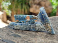 Natural Kyanite Crystals x 1.67 Kg Lot From Karoi, Zimbabwe - Toprock Gemstones and Minerals 