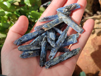 Natural Kyanite Crystals x 1.67 Kg Lot From Karoi, Zimbabwe - Toprock Gemstones and Minerals 