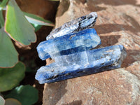 Natural Kyanite Crystals x 1.67 Kg Lot From Karoi, Zimbabwe - Toprock Gemstones and Minerals 