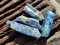 Natural Kyanite Crystals x 1.67 Kg Lot From Karoi, Zimbabwe - Toprock Gemstones and Minerals 