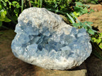 Natural Celestite Geode Specimens x 1 From Sakoany, Madagascar - Toprock Gemstones and Minerals 