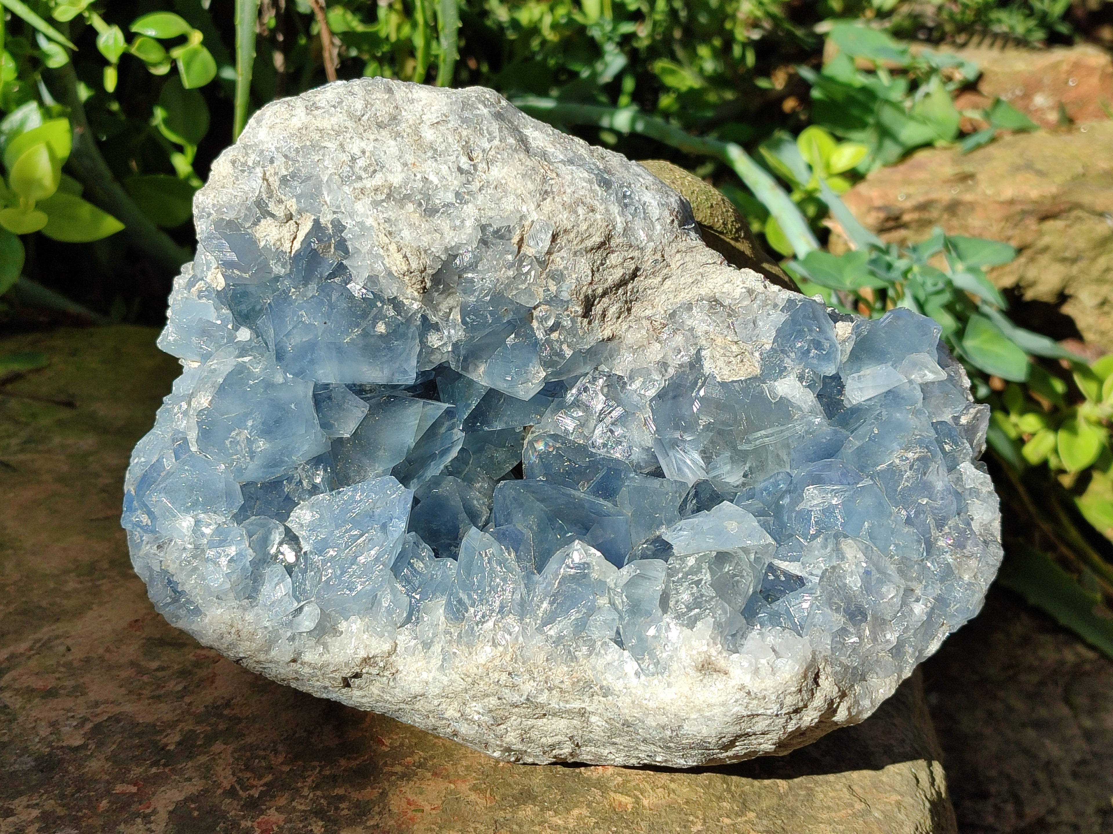 Natural Celestite Geode Specimens x 1 From Sakoany, Madagascar - Toprock Gemstones and Minerals 