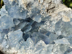 Natural Celestite Geode Specimens x 1 From Sakoany, Madagascar - Toprock Gemstones and Minerals 