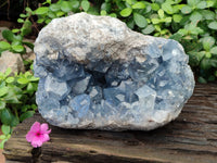 Natural Celestite Geode Specimens x 1 From Sakoany, Madagascar - Toprock Gemstones and Minerals 