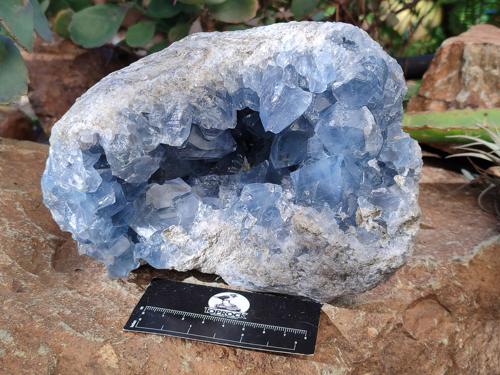 Natural Celestite Geode Specimens x 1 From Sakoany, Madagascar - Toprock Gemstones and Minerals 