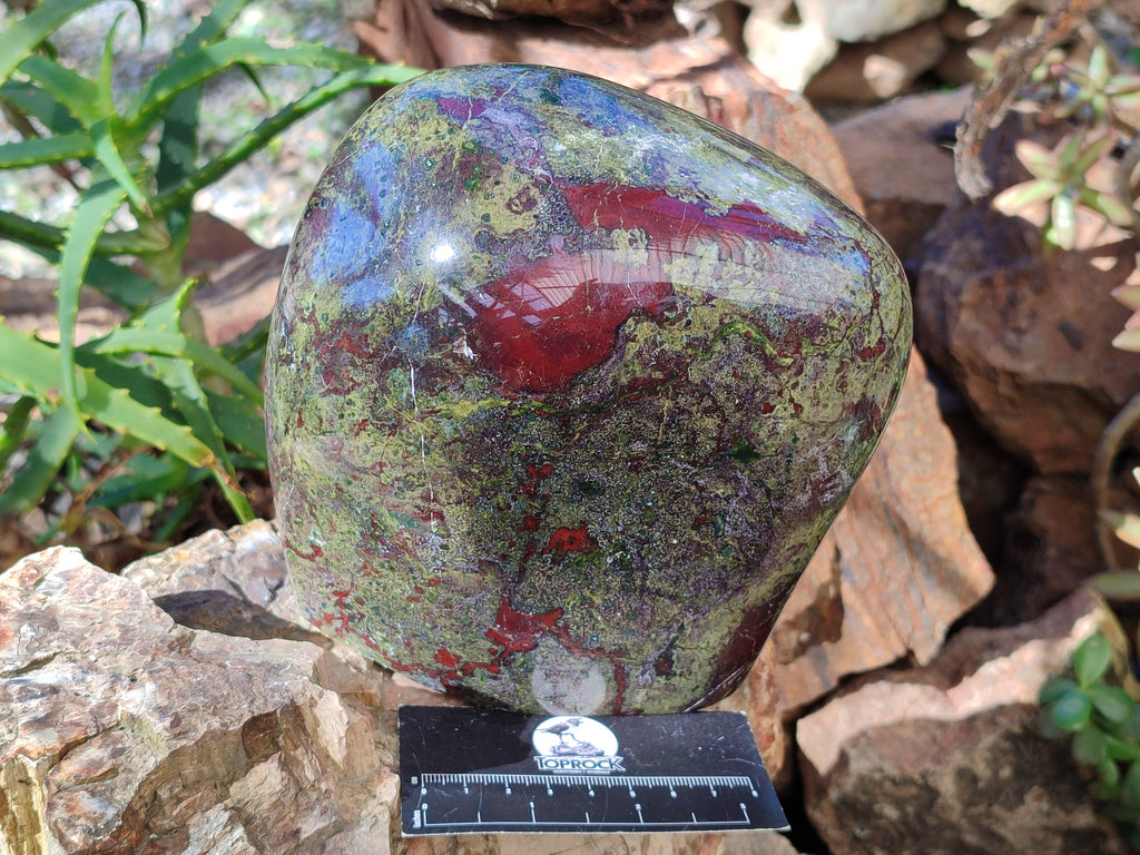 Polished Bastite Dragons Blood Stone Standing Free Form x 1 From Tshipise, South Africa - Toprock Gemstones and Minerals 