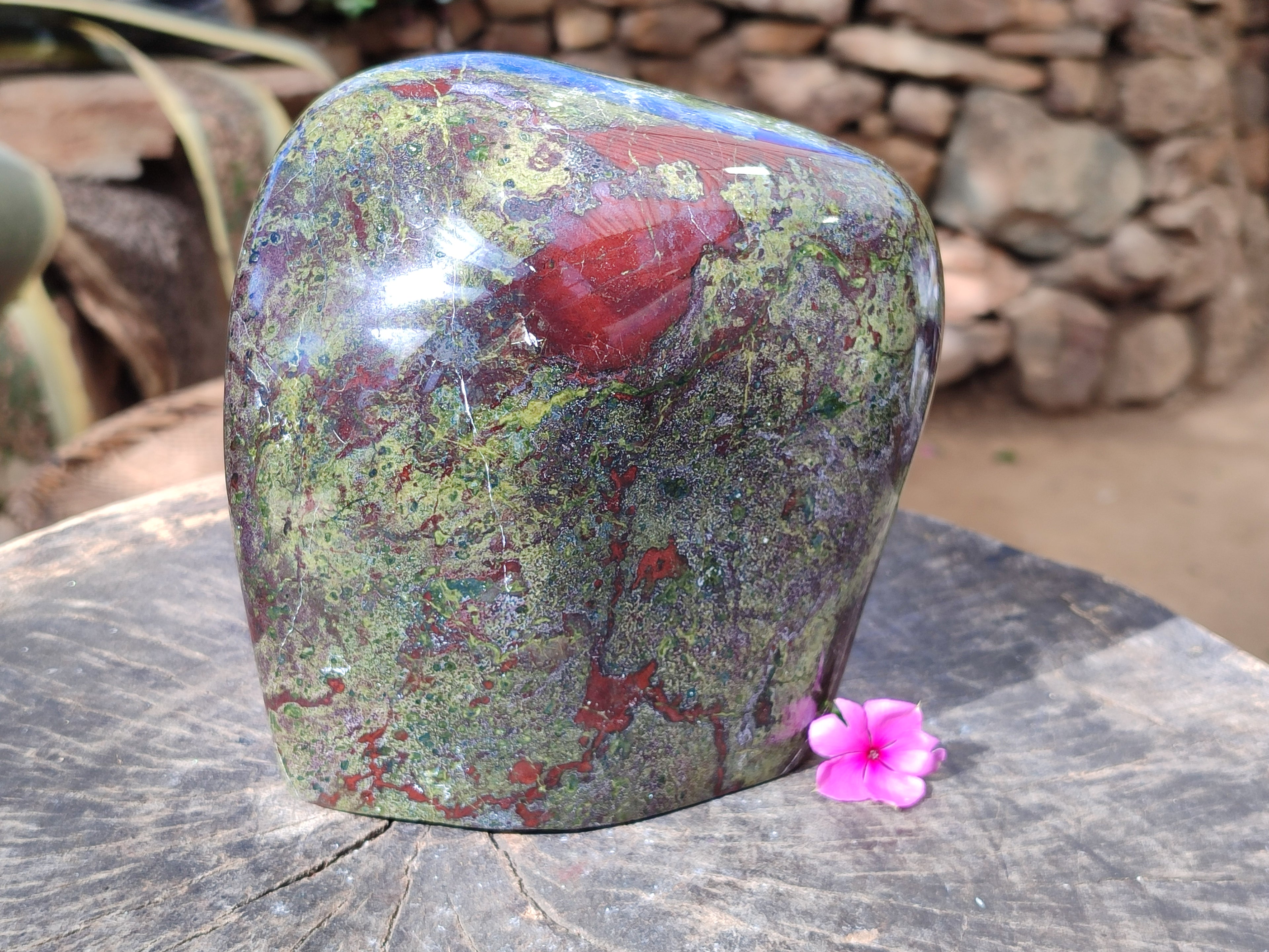 Polished Bastite Dragons Blood Stone Standing Free Form x 1 From Tshipise, South Africa - Toprock Gemstones and Minerals 