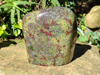 Polished Bastite Dragons Blood Stone Standing Free Form x 1 From Tshipise, South Africa - Toprock Gemstones and Minerals 