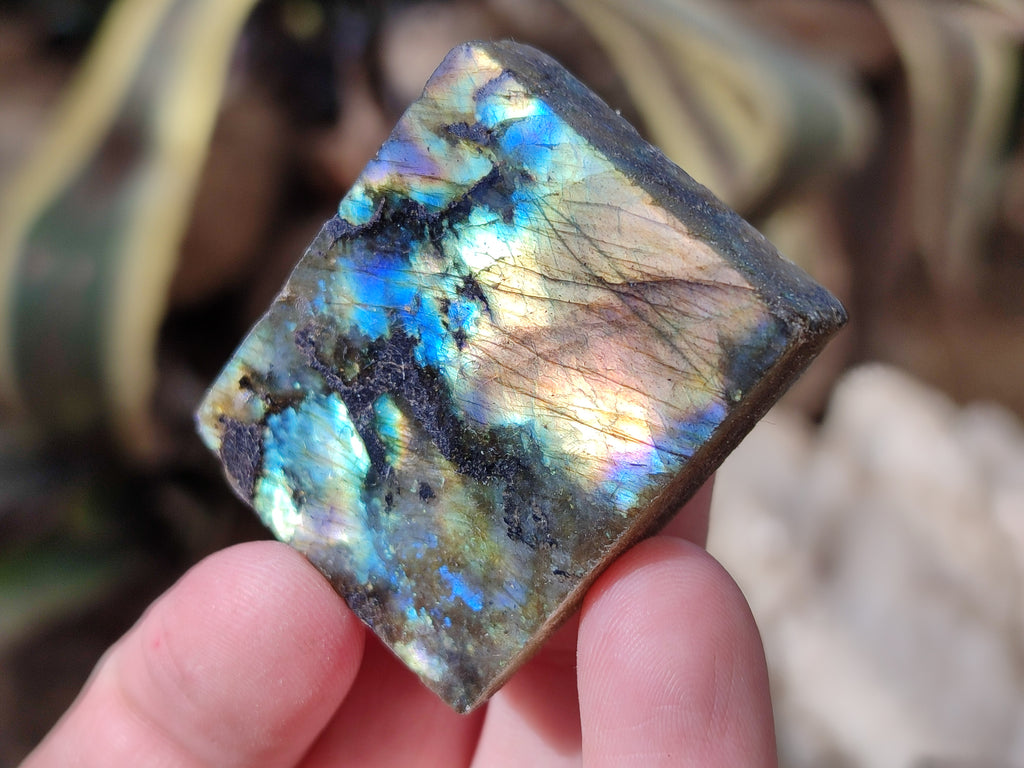 Polished On One Side Labradorite Plates x 35 From Tulear, Madagascar - Toprock Gemstones and Minerals 