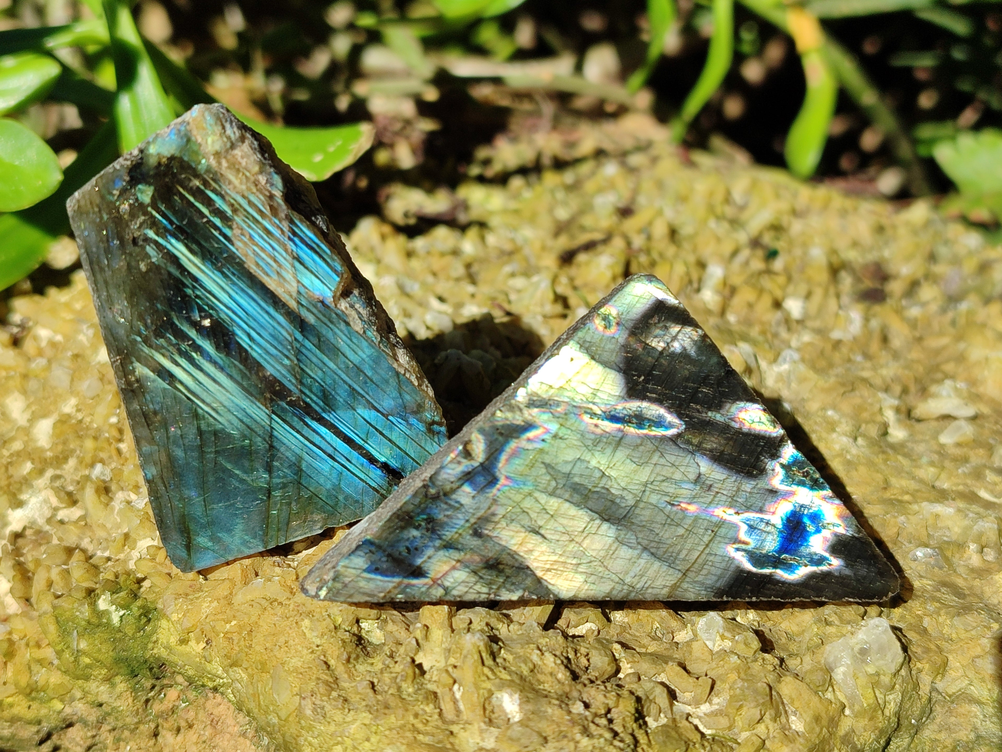 Polished On One Side Labradorite Plates x 35 From Tulear, Madagascar - Toprock Gemstones and Minerals 