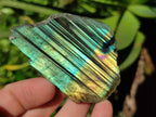Polished On One Side Labradorite Plates x 35 From Tulear, Madagascar - Toprock Gemstones and Minerals 
