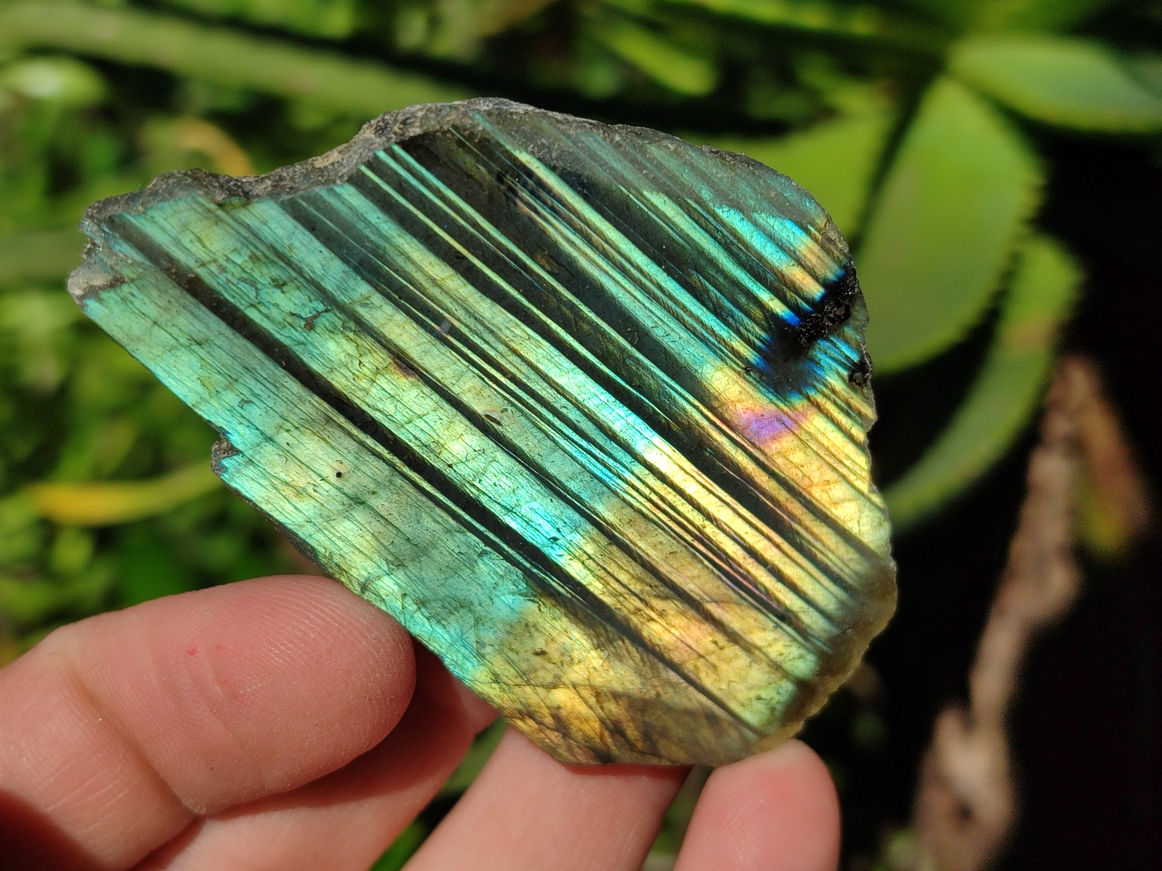Polished On One Side Labradorite Plates x 35 From Tulear, Madagascar - Toprock Gemstones and Minerals 