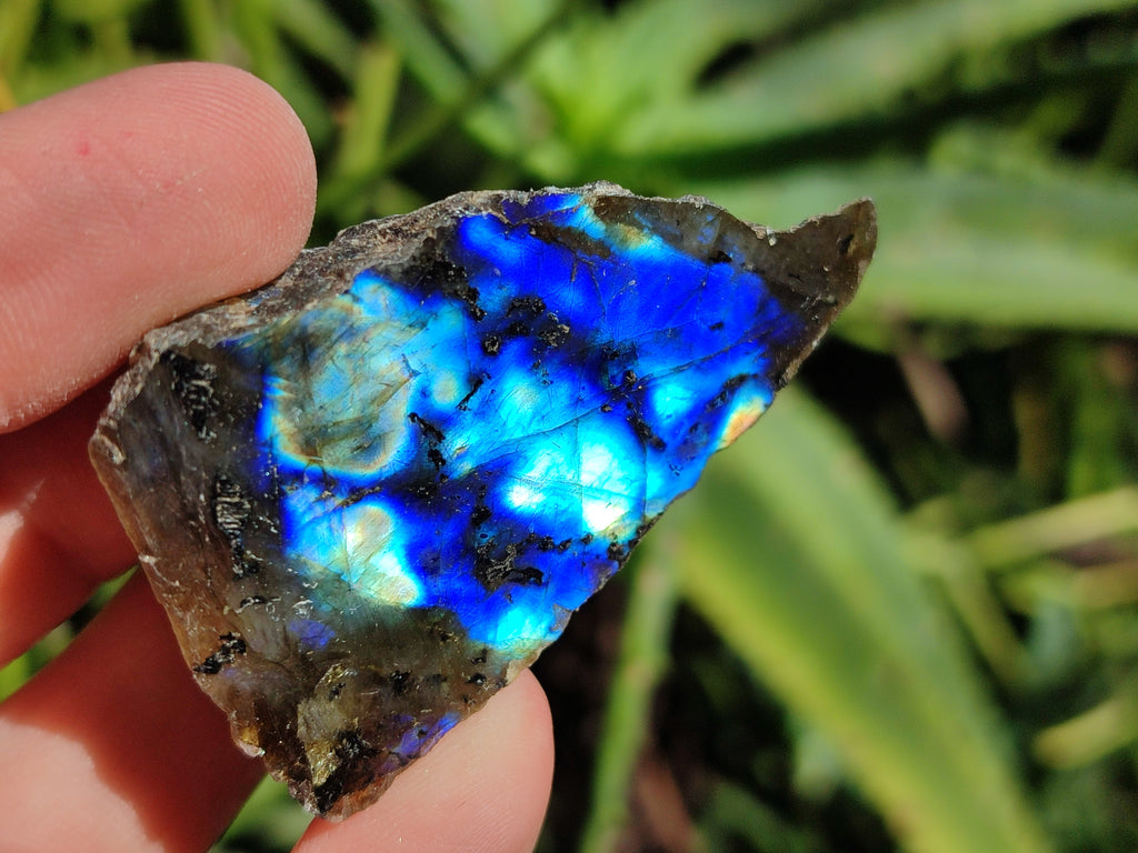 Polished On One Side Labradorite Plates x 35 From Tulear, Madagascar - Toprock Gemstones and Minerals 