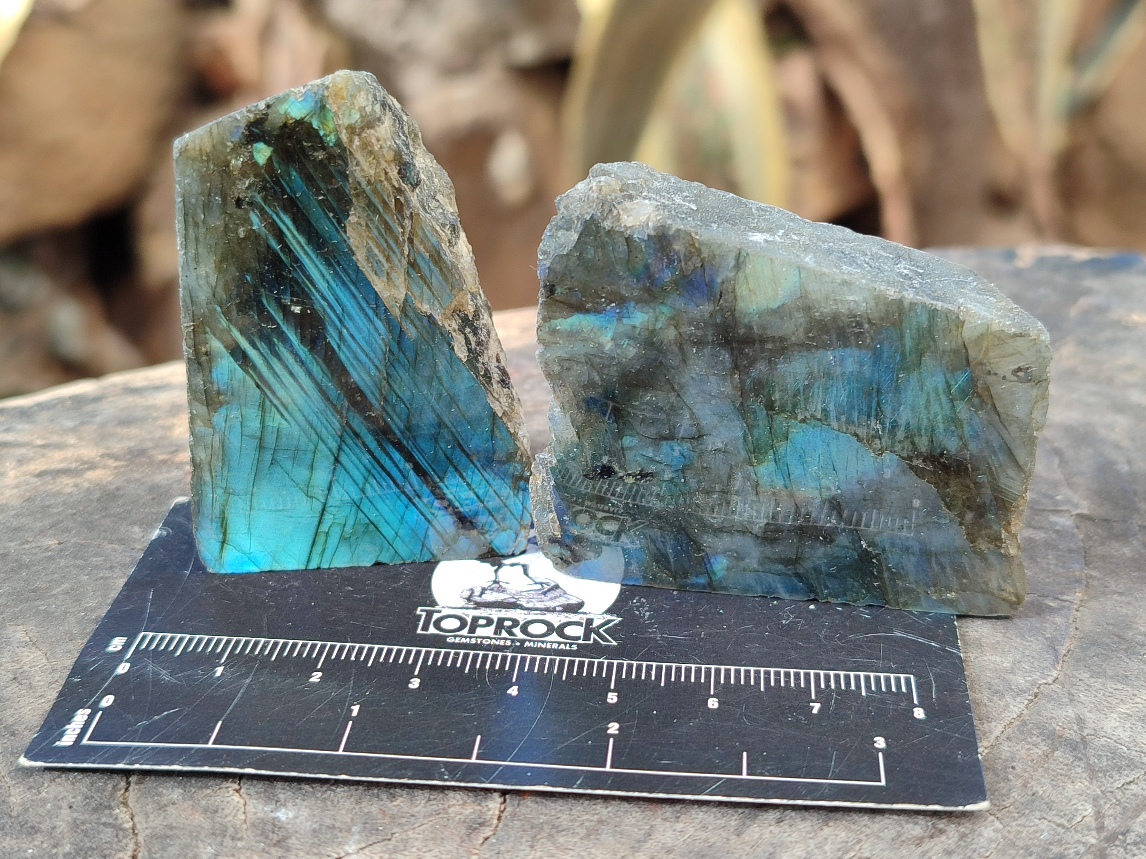 Polished On One Side Labradorite Plates x 35 From Tulear, Madagascar - Toprock Gemstones and Minerals 