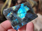 Polished On One Side Labradorite Plates x 35 From Tulear, Madagascar - Toprock Gemstones and Minerals 