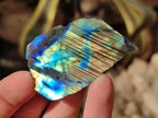 Polished On One Side Labradorite Plates x 35 From Tulear, Madagascar - Toprock Gemstones and Minerals 