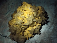 Natural Quartz and Smokey Quartz Clusters with Hyalite Opal on 3 Specimens x 6 From Erongo, Namibia - Toprock Gemstones and Minerals 