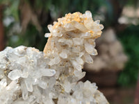 Natural Quartz and Smokey Quartz Clusters with Hyalite Opal on 3 Specimens x 6 From Erongo, Namibia - Toprock Gemstones and Minerals 