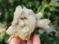 Natural Quartz and Smokey Quartz Clusters with Hyalite Opal on 3 Specimens x 6 From Erongo, Namibia - Toprock Gemstones and Minerals 