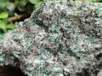 Natural Emerald Mica In Matrix Cobbed Specimens x 2 From Mutoko, Zimbabwe - Toprock Gemstones and Minerals 