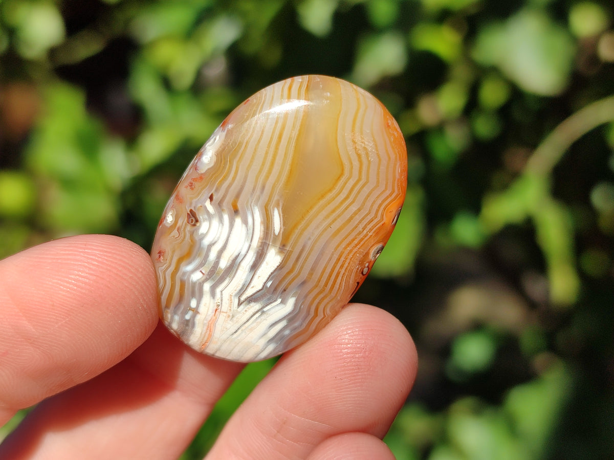 Polished Small Carnelian Agate "Jewellery" Palm Stones x 70 From Madagascar - Toprock Gemstones and Minerals 