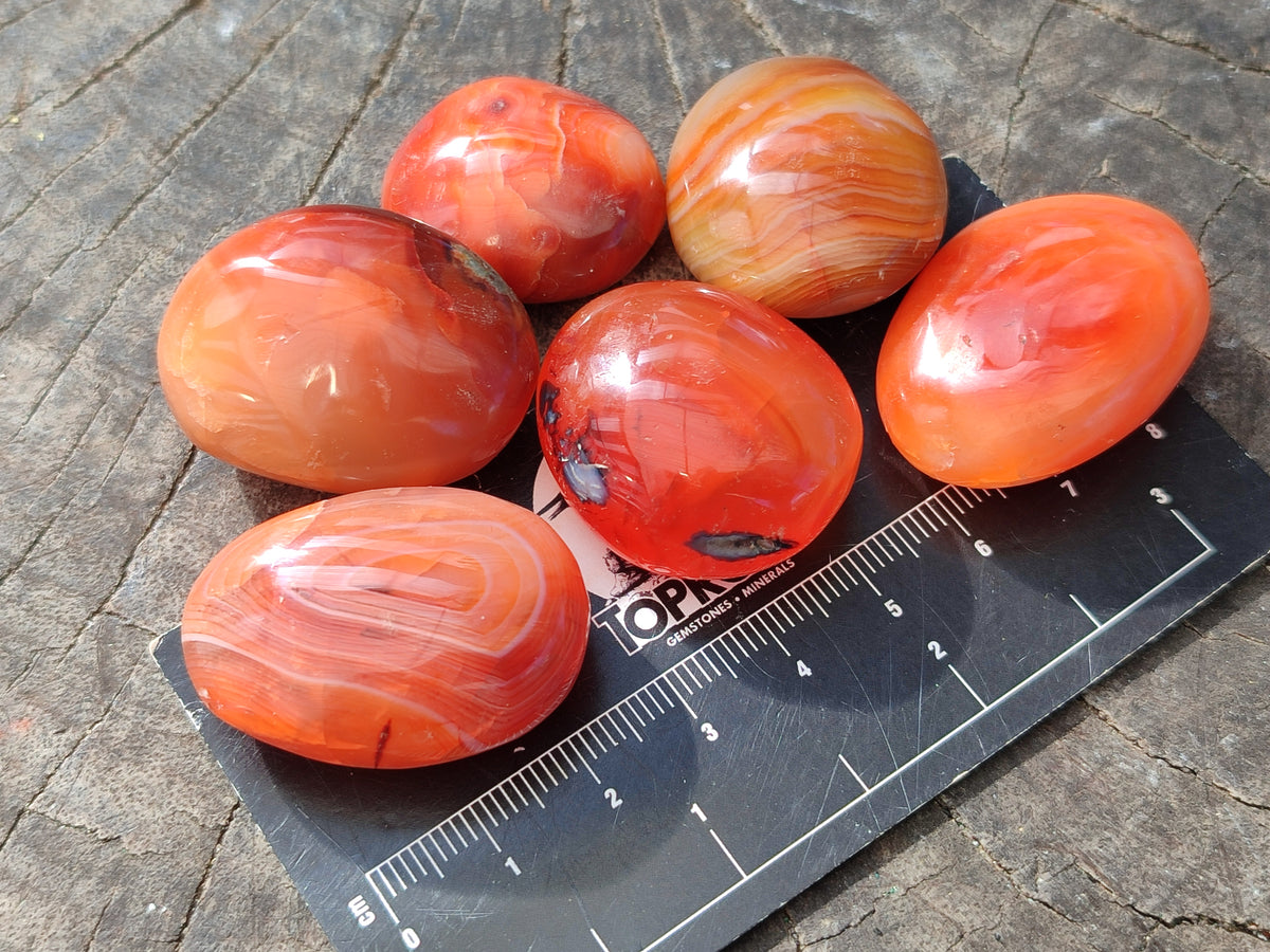 Polished Small Carnelian Agate "Jewellery" Palm Stones x 70 From Madagascar - Toprock Gemstones and Minerals 
