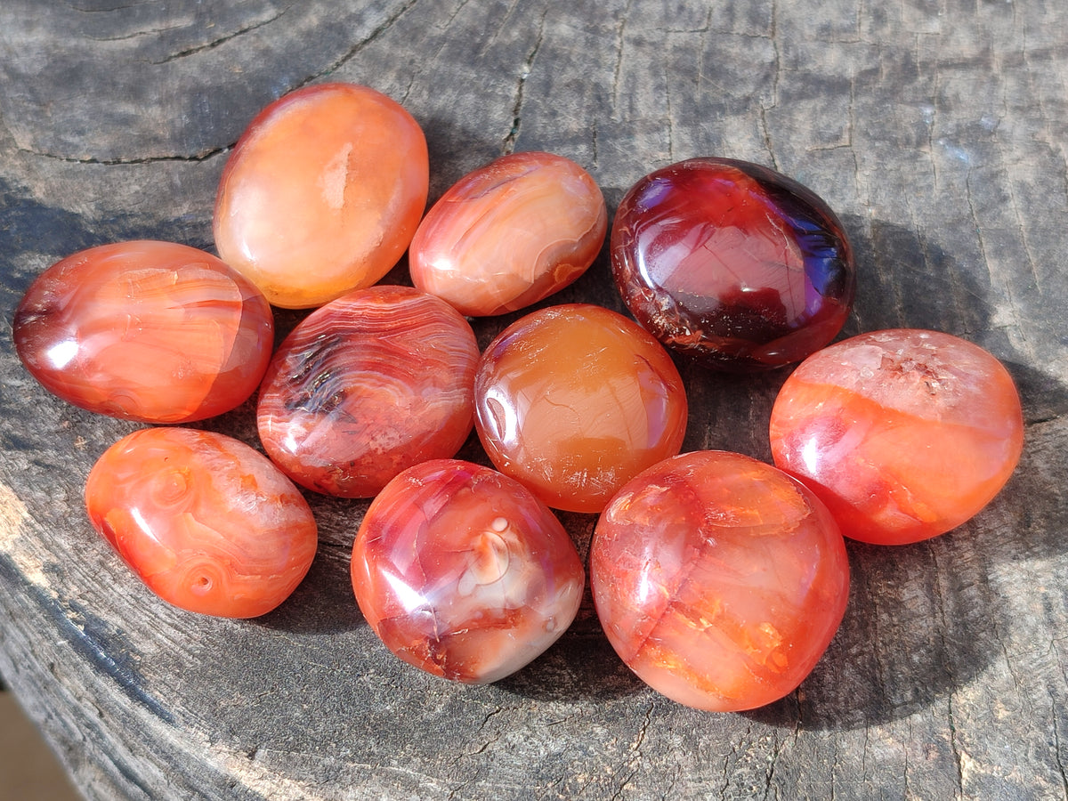 Polished Small Carnelian Agate "Jewellery" Palm Stones x 70 From Madagascar - Toprock Gemstones and Minerals 