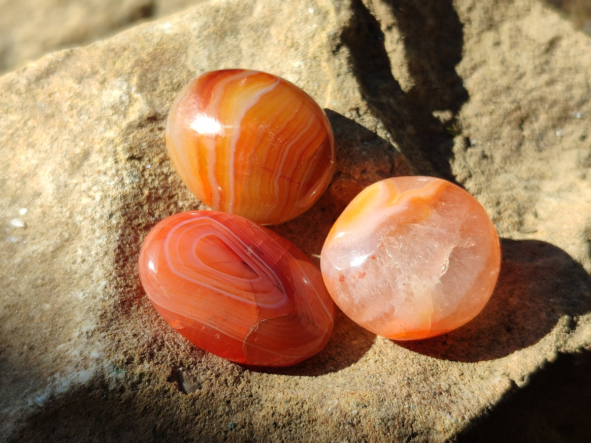 Polished Small Carnelian Agate "Jewellery" Palm Stones x 70 From Madagascar - Toprock Gemstones and Minerals 