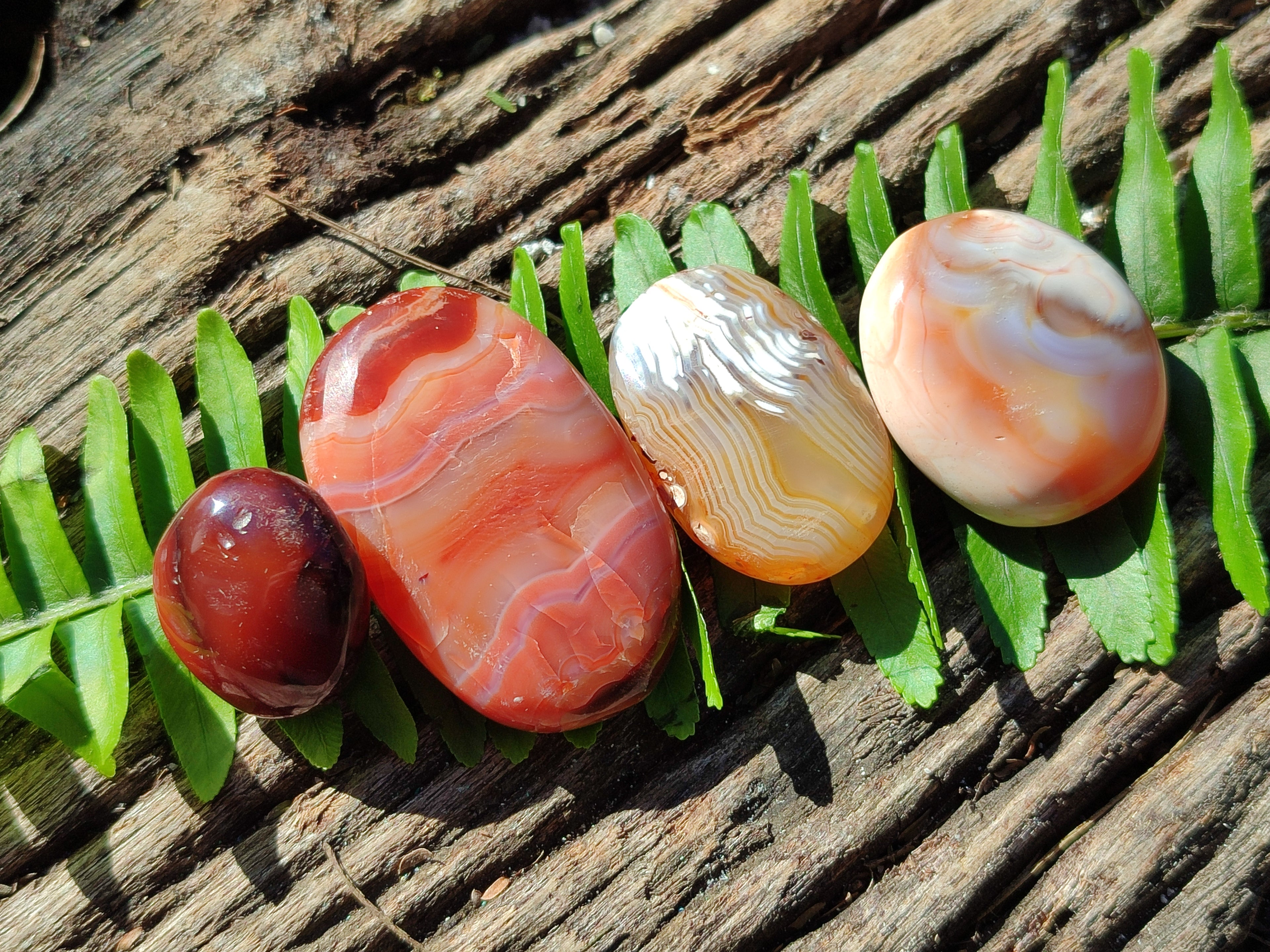 Polished Small Carnelian Agate "Jewellery" Palm Stones x 70 From Madagascar - Toprock Gemstones and Minerals 