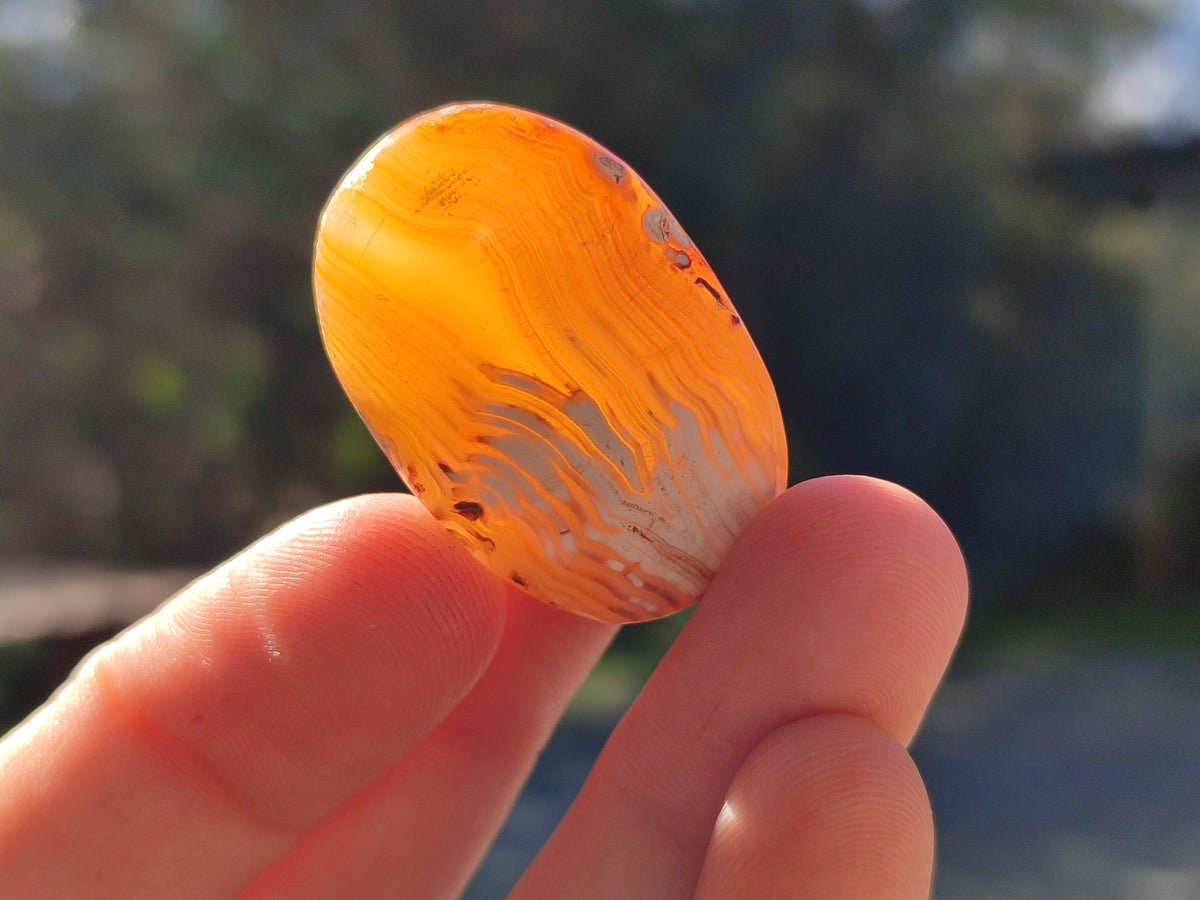 Polished Small Carnelian Agate "Jewellery" Palm Stones x 70 From Madagascar - Toprock Gemstones and Minerals 