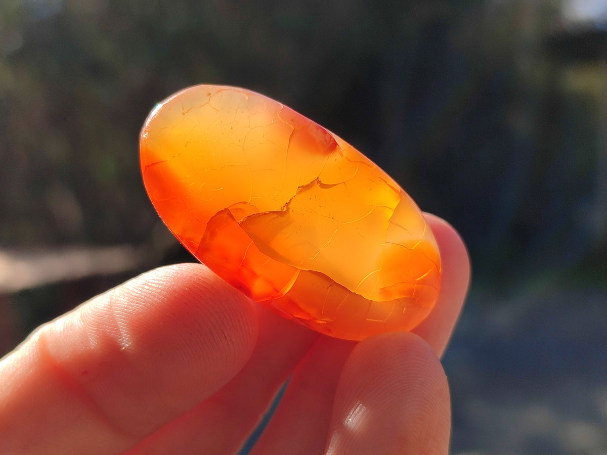 Polished Small Carnelian Agate "Jewellery" Palm Stones x 70 From Madagascar - Toprock Gemstones and Minerals 