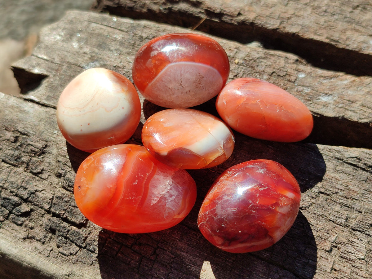 Polished Small Carnelian Agate "Jewellery" Palm Stones x 70 From Madagascar - Toprock Gemstones and Minerals 