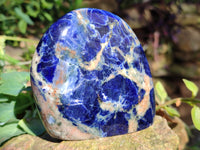 Polished Sodalite Standing Free Forms x 4 From Kunene River, Namibia - Toprock Gemstones and Minerals 