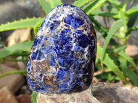 Polished Sodalite Standing Free Forms x 4 From Kunene River, Namibia - Toprock Gemstones and Minerals 
