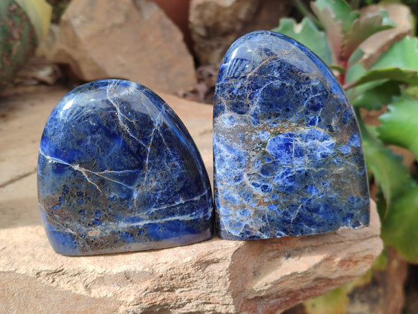 Polished Sodalite Standing Free Forms x 4 From Kunene River, Namibia - Toprock Gemstones and Minerals 