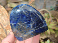 Polished Sodalite Standing Free Forms x 4 From Kunene River, Namibia - Toprock Gemstones and Minerals 
